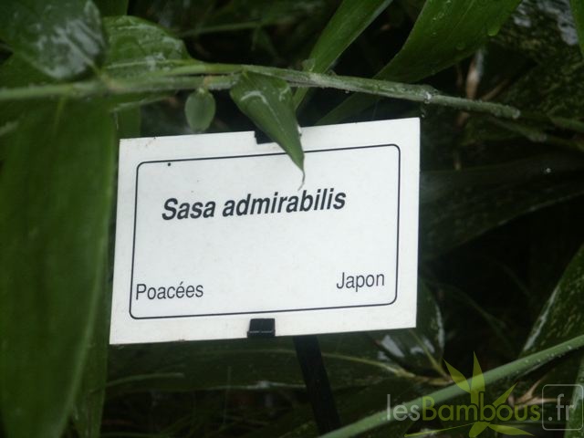 PICT0143